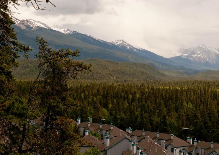 Jasper Discovery Trail